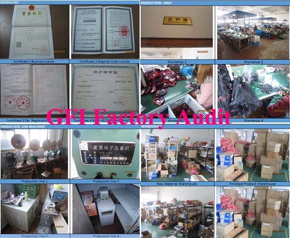 Factory Inspections / Factory Audit