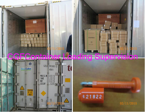 Container Loading Supervision (CLS) in Ningbo/Shanghai/Shenzhen all of China