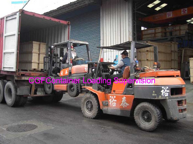 Container Loading Supervision (CLS) in Ningbo/Shanghai/Shenzhen all of China