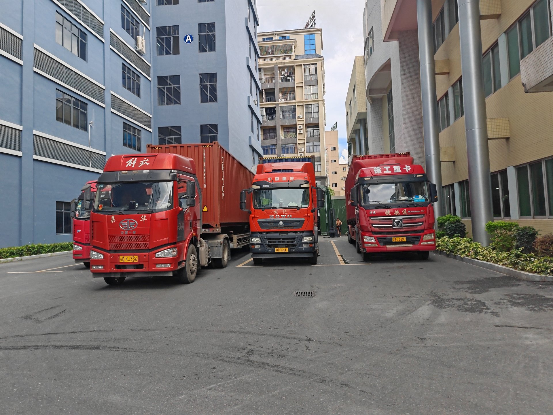 Mexico Container Loading Supervision (CLS) in Ningbo/Qingdao/Guangzhou all of China